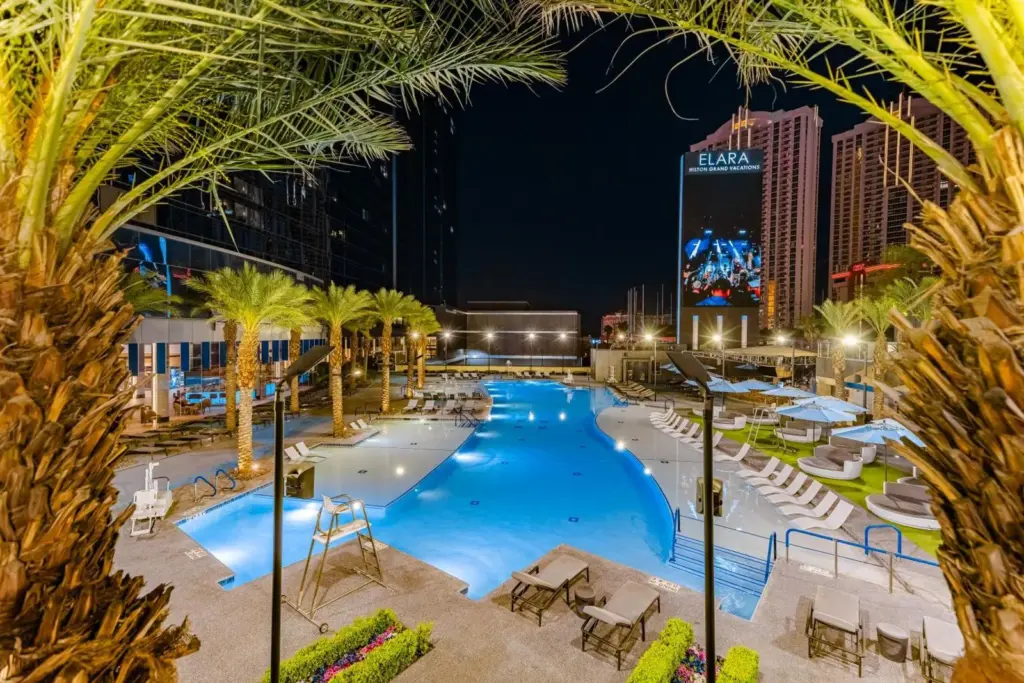 Elara pool and palm trees illuminated at night