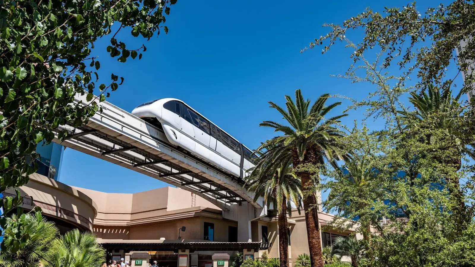 A Las Vegas Monorail train passing above palm trees near MGM Grand
