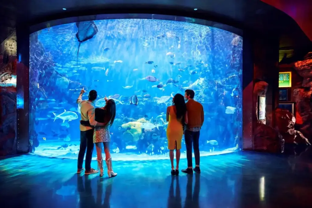 a group of people standing in front of a large aquarium at Silverton Casino Lodge in Las Vegas